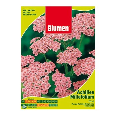 BUSTINA CON SEMI DI ACHILLEA MILLEFOLIUM ROSA
