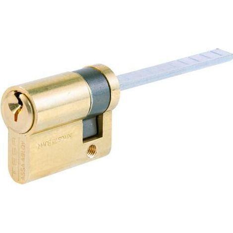 Cilindro 30X10Mm Te5R3010L Laton Regulable Barra Universal Tesa