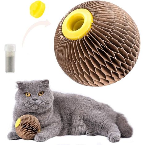 Jouet à l'herbe à chat pour chats, rechargeable, à gratter, fidèle compagnon de jeu pour chatons, réduit l'obésité et la solitude