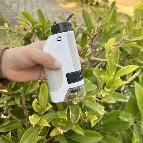 Microscope portable avec lumière LED, grossissement de 50X à 300X, idéal pour explorer la nature à l'intérieur comme à l'extérieur (1/5)