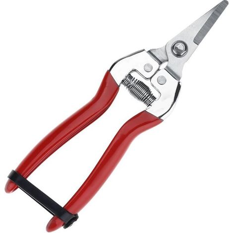 Tondeuse professionnelle en acier inoxydable pour jardin, coupe droite, arrangement de fleurs chromées, taille des plantes de récolte (poignée en fer, grands cisailles à fruits) A (1/5)
