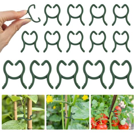 100 Pièces 2 x 2,6 cm Clips pour Plantes Vert, Petites Clip Plante Grimpante, Pinces à Plantes Jardinage, Réutilisables Clips Jardin pour Soutenir Plantes Légumes Fruits (1/5)