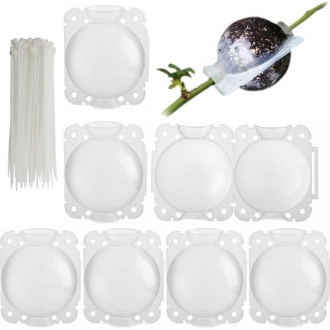 Lot de 6 boîtes de culture de racines de plantes 8 cm Dispositif d'enracinement 250 ml Dispositif de greffage de plantes réutilisable Boule de propagation pour greffer et planter des racines (1/5)