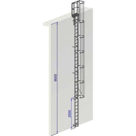 Echelle a crinoline hauteur 9 mètres Norme EN ISO 14 122-4 (1/5)