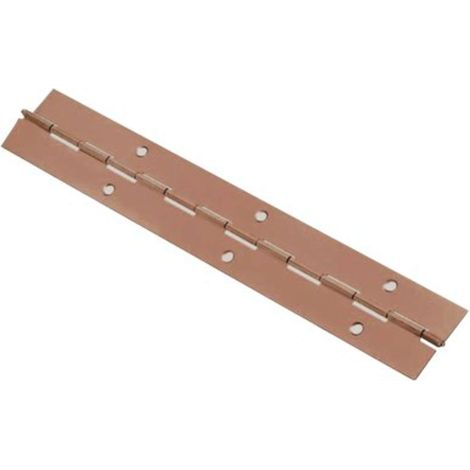 CERNIERA A NASTRO 215 VALTOCE - ACCIAIO BRONZATO S.MM 0,7 MM 32 H.MM 2040 - 2 pezzi