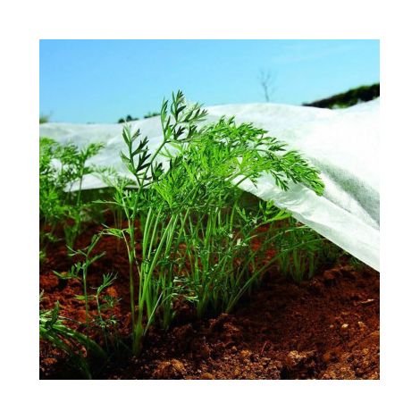 Tissu Protection Cultures Biotop Protection Contre Gel Et Insectes - Biotop