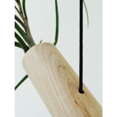 Lot de 2 Suspensions Cylindriques en Chêne Naturel pour Plantes Aériennes Airplants - PANGIVO (1/4)