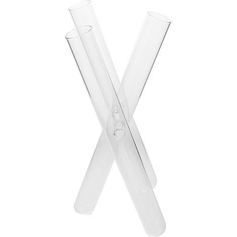 Clear Glass Test Tube Vase for Flowers, Modern Decorative Glass Stand, for Plants or Living Room (1/5)