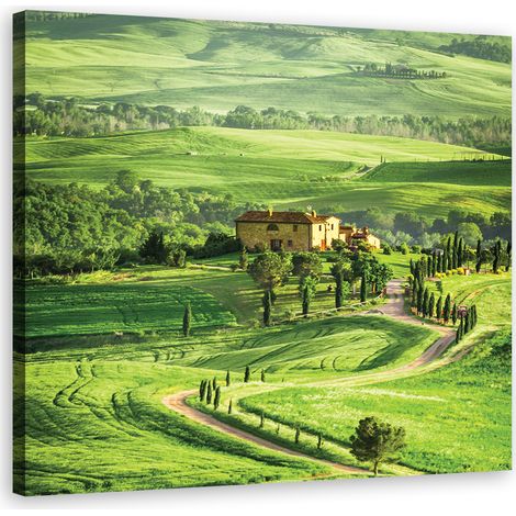 Image sur toile, Paysages - Vert - 60x60 (1/5)
