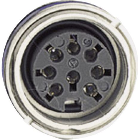 Amphenol C091 31N007 100 2 Rundstecker Buchse, Einbau Gesamtpolzahl: 7 Serie (Rundsteckverbinder): C