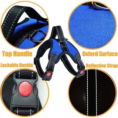 Harnais anti-traction pour chien, confort respirant réglable, laisse gratuite incluse, pour petits, moyens et grands chiens, idéal pour l'Entraînement et la marche (M, bleu)