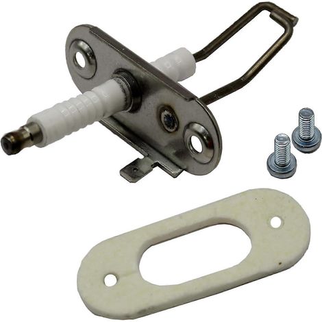 Électrode de chaudière compatible HTS 0020133816 (1/5)