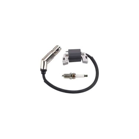 595304 Bobina di accensione Magneto Armatura per Briggs & Stratton 591459 799650 592841 795315 490586 492341 798853 495859 - Crezuo (1/4)