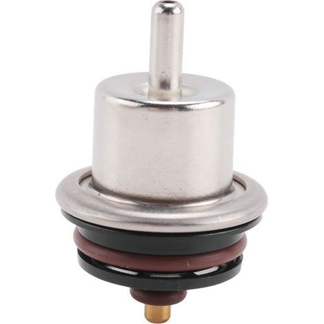 25352275 RéGulateur de Pression de Carburant 3.0 Bar pour Great Wall (1/2)