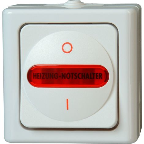 Interrupteur Principal de Chauffage Blanc Arctique (1/3)