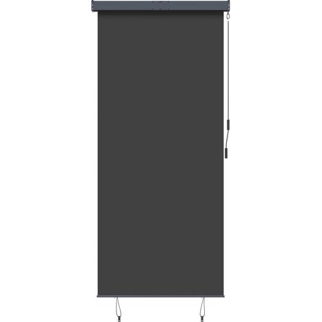 vidaXL Tenda a Rullo per Esterni 120x250 cm Antracite
