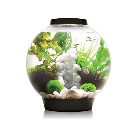 72005 biOrb Classic 30 Led, negro (1/4)