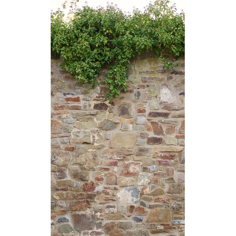 BRICOFLOR Papier peint The Wall II 392471 (1/3)