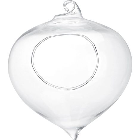 Pot de Fleurs Suspendu en Verre pour Plantes Succulentes - Décoration Jardin et Intérieur (1/5)