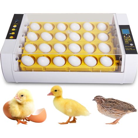 Incubateur Automatique 24 Oeufs Avec Retournement Et Controle Humidite, Lampe Miroir Pour Observer Embryons, Pour (1/5)