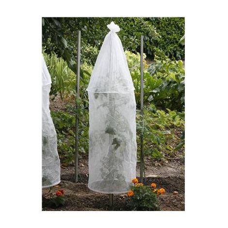 Lot de 3 housses en voile polypropylène 40 cm – Protection contre le froid et ravageurs – Favorise croissance des tomates et aubergines – Fabre Graines