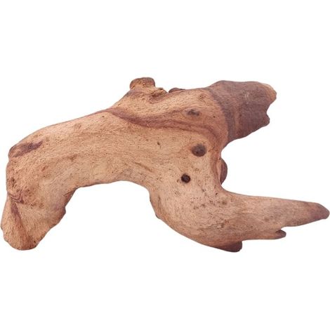 M Mopani Wurzel Nr.4800 Holz Deko Aquascaping