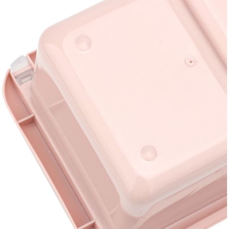 Aufbewahrungsbox für Gewürze und Soßen mit 4 Fächern, BPA-freies PP, inklusive Löffeln, Gewürzhalter und Portionsbehältern (Rosa)