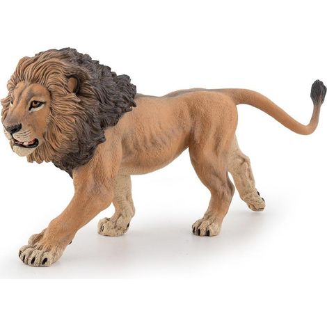 león africano