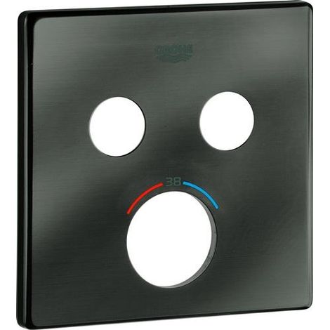 Rosette 49039 pour SmartControl UP-THM avec 2 ASV en graphite dur.
