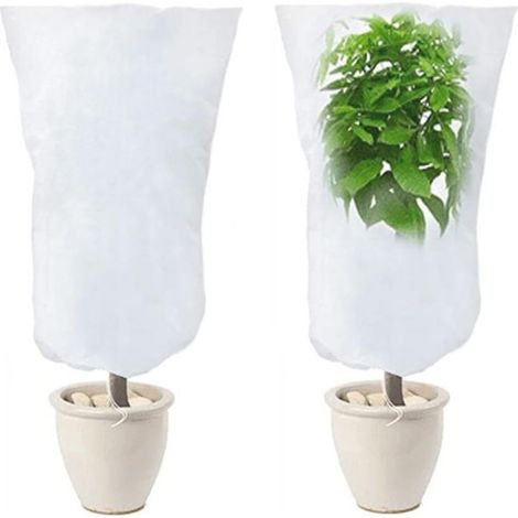 2 Pack Housse D'hivernage pour Plantes, Voile Hivernage Plante Exterieur Protection Plante Hiver pour Olivier Palmier Citronnier Arbre 120cm X 80cm (1/5)