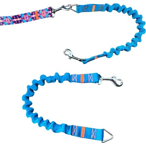 Amortisseur pour laisse de chien TURQUOISE laisse de sport traditionnelle (1/4)