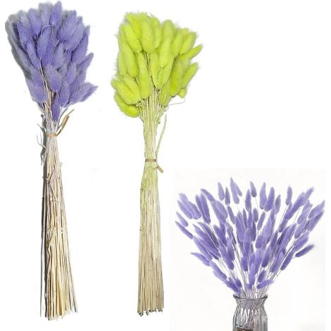 Petite Herbe à Queue de Lapin Pampa, Roseaux Séchés Verts et Violets (60 pcs) pour Vase et Déco (1/5)