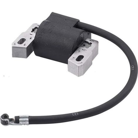 Adatto per accessori per tosaerba 799651 405777 843931 Trasformatore ad alta tensione Bobina di accensione (1/5)