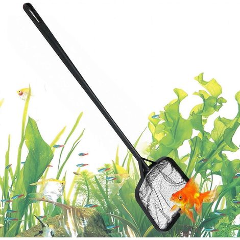 Épuisette de piscine portable 35 cm, manche filet de nettoyage des feuilles pour spa et piscine, facile à nettoyer après utilisation (1/5)