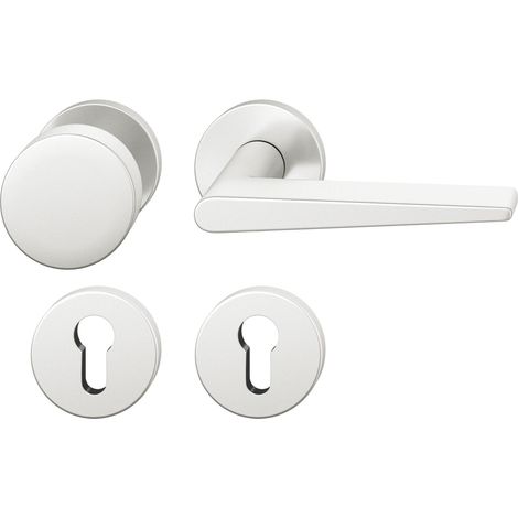 FSB Wechselgarnitur 12 1005 ASL auf Rosette PZ, Aluminium silber eloxiert (1/5)