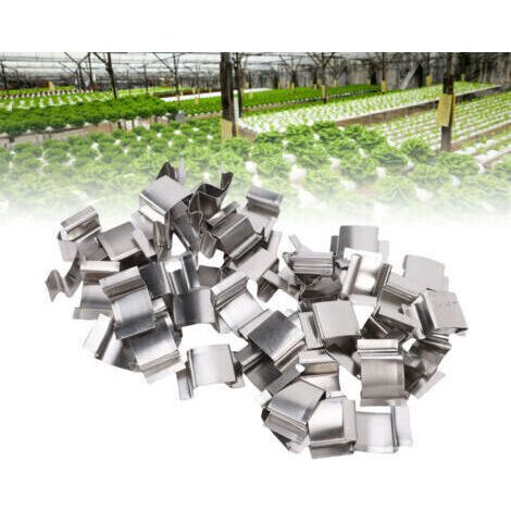 Pince de Serre en Verre Printemps Support Plantes Grimpantes Fixation Vitre Jardin Rénovation Clips G Forme Acier Inoxydable
