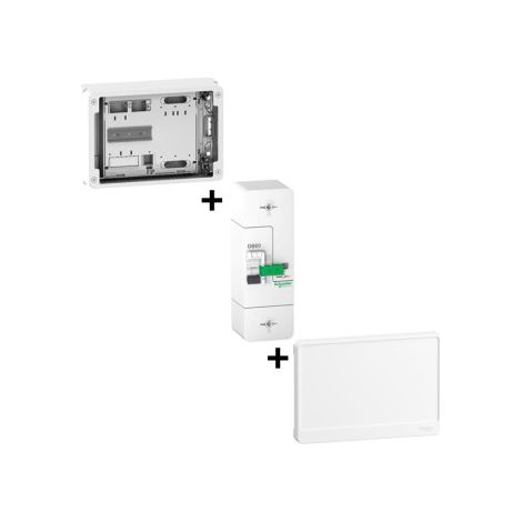 Schneider - DB EDF instantanu00e9 60A 500mA + Platine avec Habillage + Porte - 18 Modules - Ru00e9f : R9H18416+R9H18421+R9FT660 (1/4)