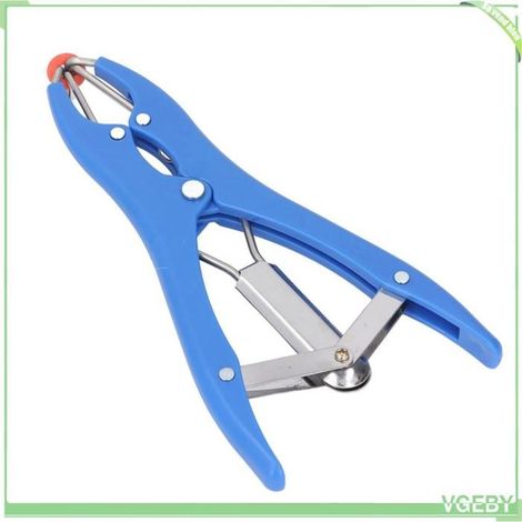 Fafeicy outil de castration de bande Kit de bagues de castration en acier inoxydable, sans sang, avec 100 animalerie produits (1/5)