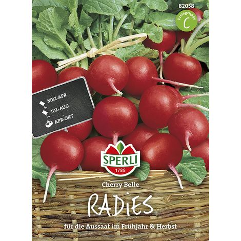 Sperli – Radis Cherry Belle (Raphanus sativus) – Graines de légumes, rouge vif, à croissance rapide, hauteur env. 15 cm (1/2)