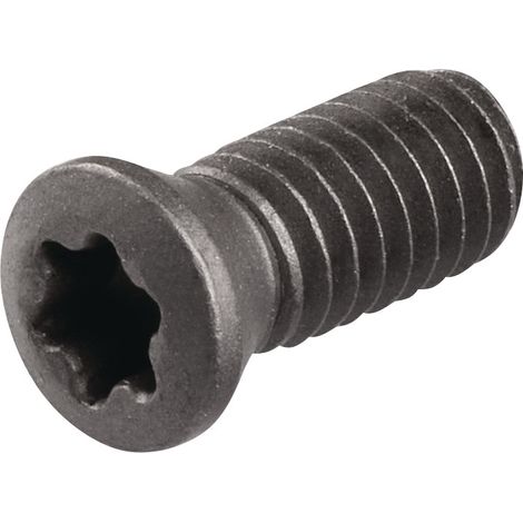 Tornillo  de  tensión  WS0410  T15  TECWERK (1/2)