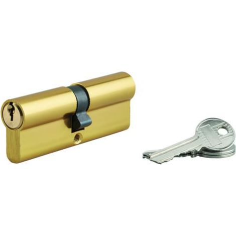Cylindre de serrure double entrée 45x45 mm doré – 3 clés crantées – SP (1/2)