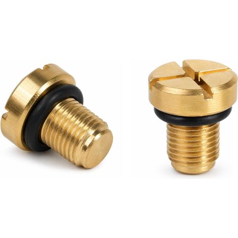 2pcs Bouchon à Vis d'évent, Vis Laiton de Purge Liquide de Refroidissement pour R50 R52 R53 E36 E39 E46 17111712788 11537793373 17110141325 (1/5)