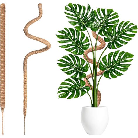 2 Pcs Tuteur Monstera, Tuteur Plante Grimpante, Tuteurs pour Plantes Flexibles de 60 cm en Fibre de Coco, Supports pour Plantes grimpantes d'intérieur (1/5)
