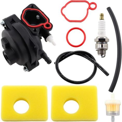 Carburateur compatible avec les moteurs Briggs & Stratton 300E, 450E et 500E - Kit comprenant filtre à air, bougie d'allumage et autres accessoires. (1/4)