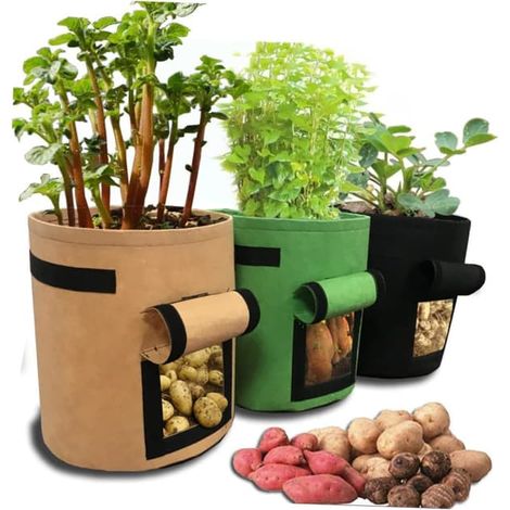 Filiyano-Lot de 3 sacs de plantation pour patates douces, en tissu non tissé résistant, avec bocaux pour plantes sous lumière noire. (1/5)