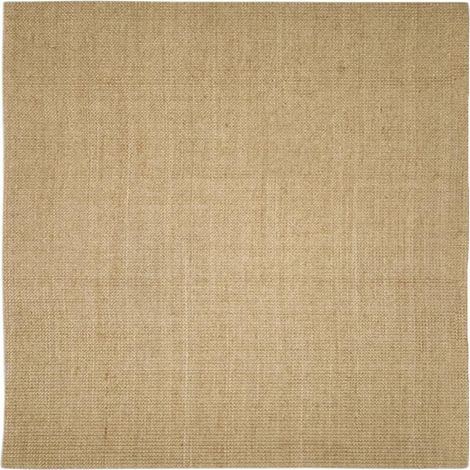 Maison Exclusive - Sisalteppich für Kratzbaum 100x100 cm