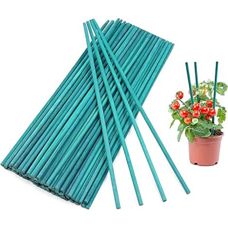 100 tiges de soutien pour plantes, 30 cm piquets en bambou fendus pour jardin, fleurs, plantes (Vert)