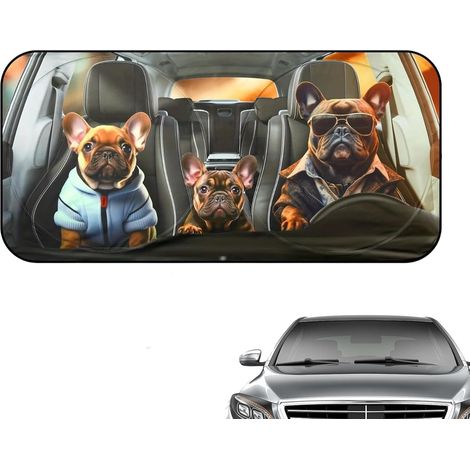 Pare-Soleil Voiture pour Ford Kuga St-Line 2016-2023 2024 2025, (1/5)
