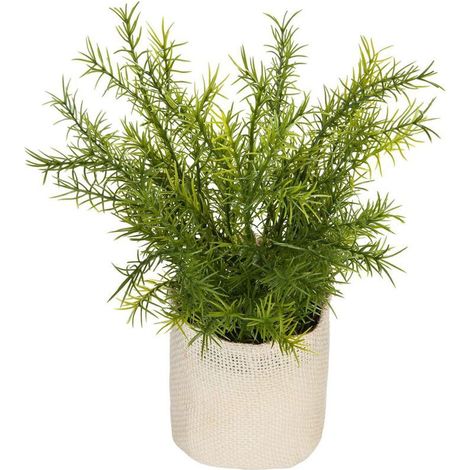 Plante artificielle Pot en Jute H 24 cm - Atmosphera - Plante artificielle Pot en Jute H 24 cm - Atmosphera (1/3)