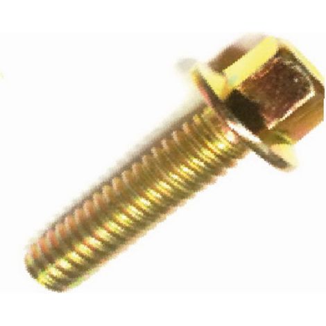 Tornillo Caja compatible con Z750, M8X25  Ref 974018